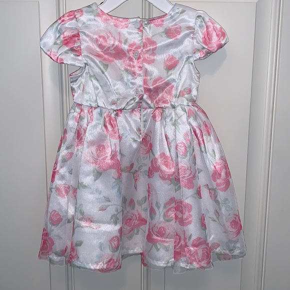 Nannette Baby,6-9m,Perfectly Pretty in Pink,Printed Shades of Pink Roses onTulle - Picture 5 of 9